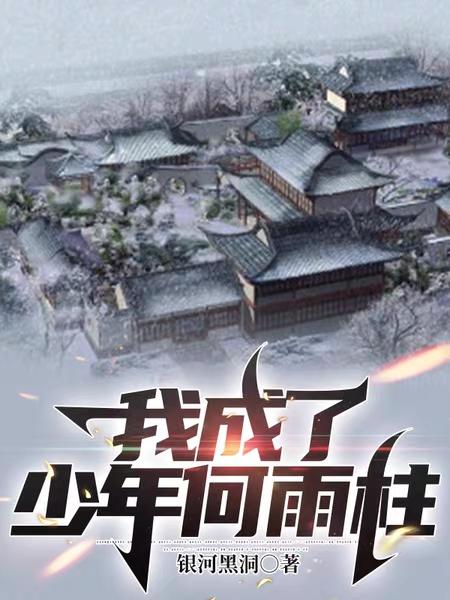 何雨柱电视剧合集