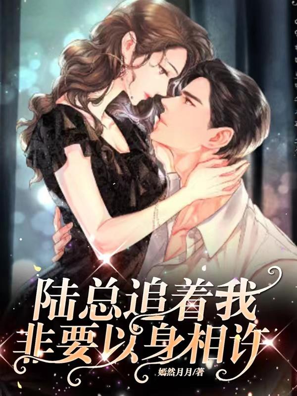 陆总偏要以婚相许小说