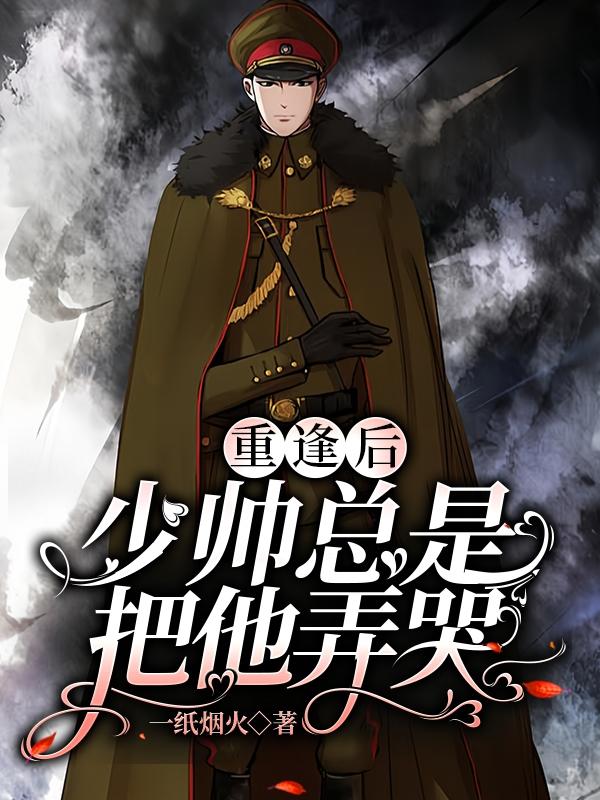 少帅回家报仇小说