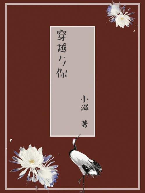 穿越与你共缠绵小说
